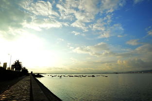 光影的詩篇 鏡頭下的郊外海邊晨光